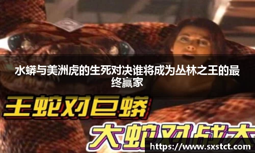 XK星空